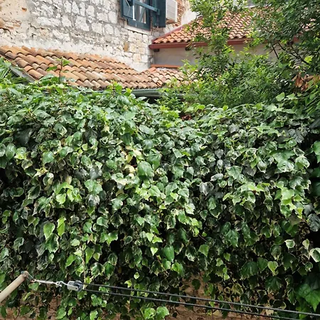 Casa Tommaso * Rovinj