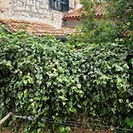 Casa Tommaso * ロヴィニ